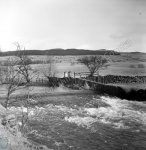 Eshton Beck